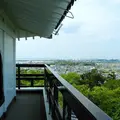 城山公園の写真_11122