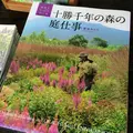 十勝千年の森の写真_11162