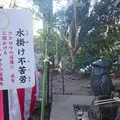 鷲子山上神社の写真_111694