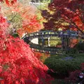 永観堂（禅林寺）の写真_11387