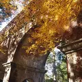 永観堂（禅林寺）の写真_11388