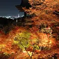 清水寺の写真_11391