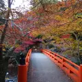 高山寺の写真_11411