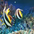 サンシャイン水族館の写真_114135
