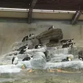 サンシャイン水族館の写真_114136