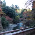 西明寺の写真_11414