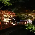 神護寺の写真_11417