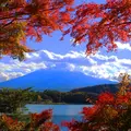 紅葉トンネルの写真_11421