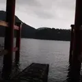 箱根神社の写真_11430