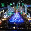 岐阜駅の写真_11455