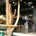 Nui.（ヌイ） HOSTEL & BAR LOUNGEの写真_115053