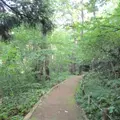 十和田神社の写真_11525
