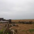 双葉町の写真_11543