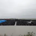双葉町の写真_11545