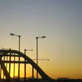 多摩川の写真_115465