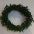 セテュヌボンニデー（C'est Une Bonne Idee）の写真_115626