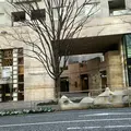 六本木けやき坂通りの写真_115984