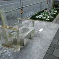 六本木けやき坂通りの写真_115985