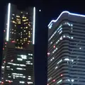 みなとみらいの写真_116241
