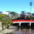 森戸神社の写真_116370