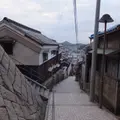 千光寺公園の写真_11696