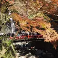 箕面の滝（箕面大滝）の写真_11763