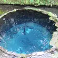 柿田川湧水の写真_11771