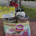 田沢湖郷土資料館の写真_11779