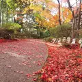 八幡山ロープウェーの写真_11813