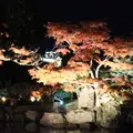玄宮園の写真_11915