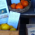 ビーチ・マフィン （BEACH MUFFIN）の写真_119199