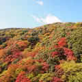 箕面の滝（箕面大滝）の写真_11947