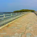 青島神社の写真_120537