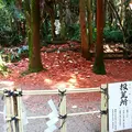 青島神社の写真_120539