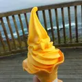 道の駅 フェニックスの写真_120545