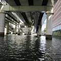 お江戸日本橋舟めぐりの写真_12069