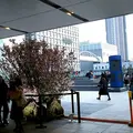 NEWoMan（ニュウマン）の写真_121317