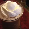 豆の樹の写真_12196