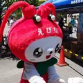 海老名市役所の写真_12318