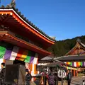 大龍寺の写真_12340