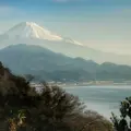 東海道由比宿おもしろ宿場館の写真_123454