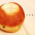 コトリパンの写真_12383