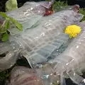 河太郎 呼子店の写真_125839