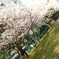 光が丘の写真_125865