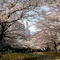 光が丘の写真_125869