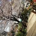 陸上自衛隊練馬駐屯地の写真_125872