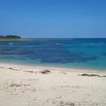 土盛海岸の写真_126037