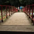 夕日の滝の写真_12629
