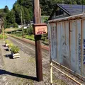 大井川鐡道の写真_12647