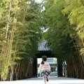 梅窓院の写真_126503